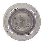 Aqua Quip Replacement Lights - Light Only - Concrete