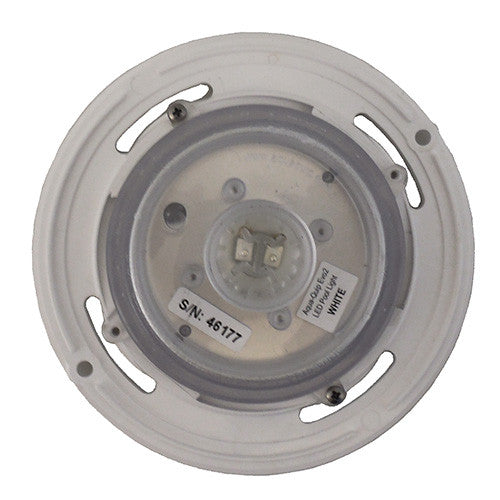 Aqua Quip Replacement Lights - Light Only - Concrete